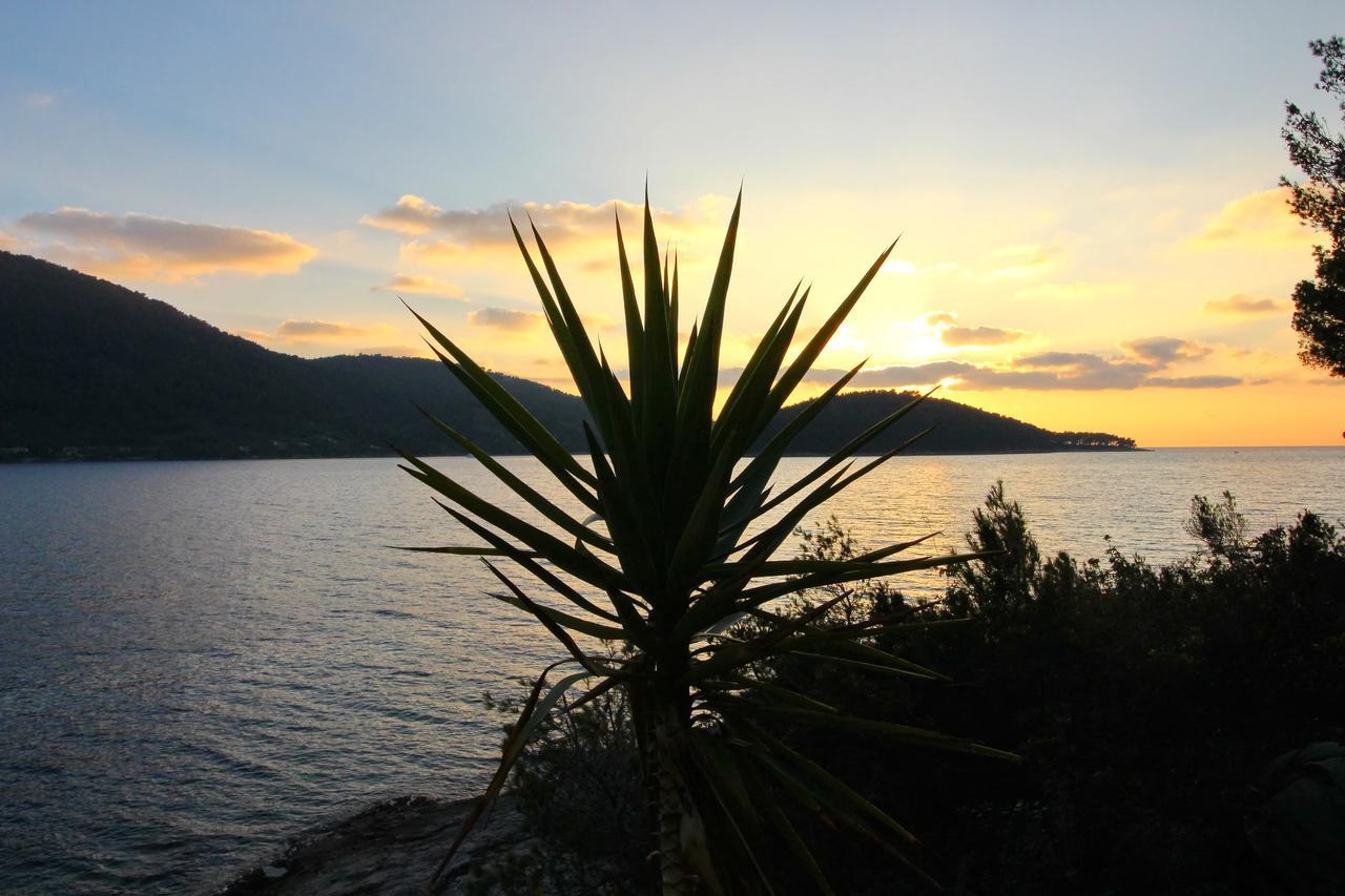 Holiday Home Bili Zal Vela Luka Bagian luar foto
